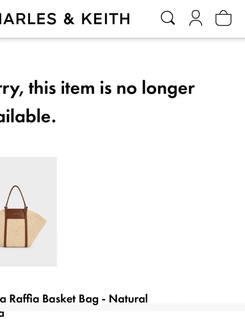 Charles & Keith Raffia Tote - Picture 9 of 11